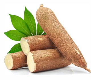 Fresh Cassava