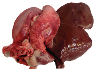 Goat Heart/Liver/Lungs